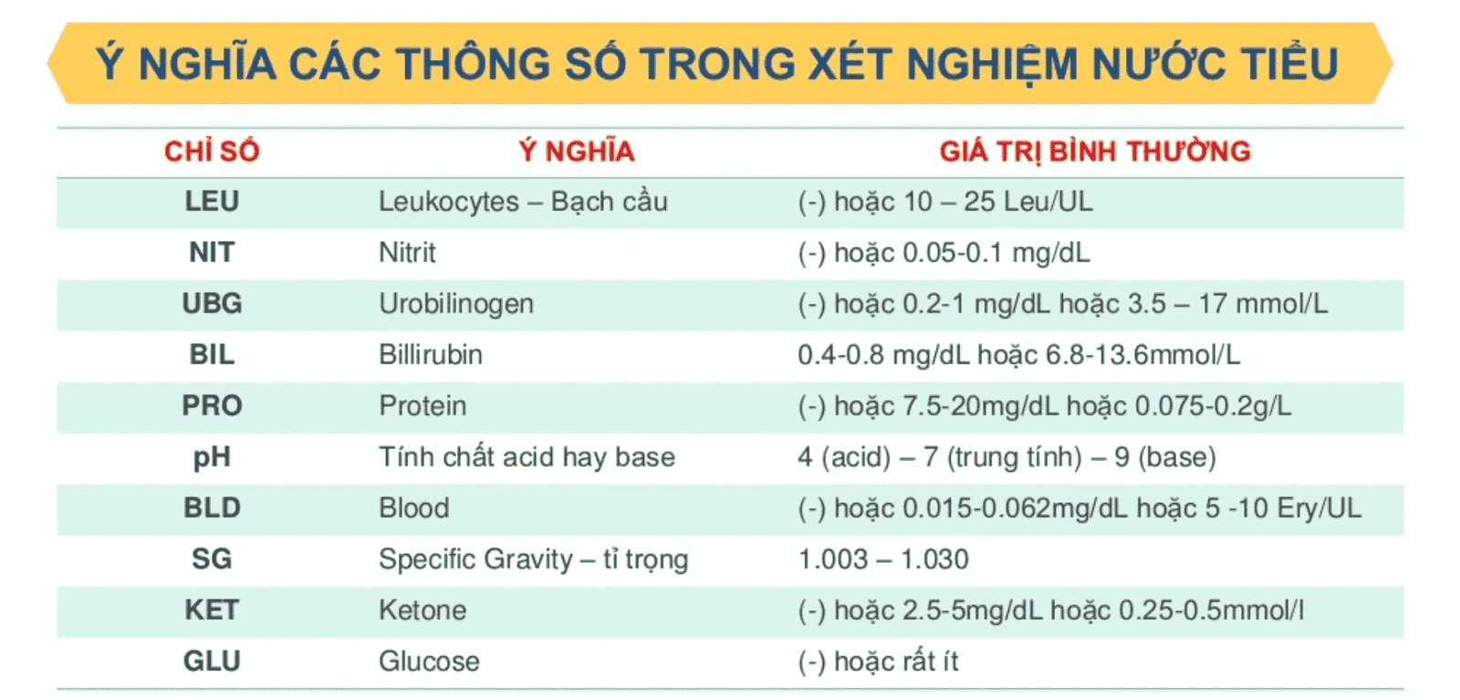 Các chỉ số trong xét nghiệm tổng phân tích nước tiểu và cách đọc kết