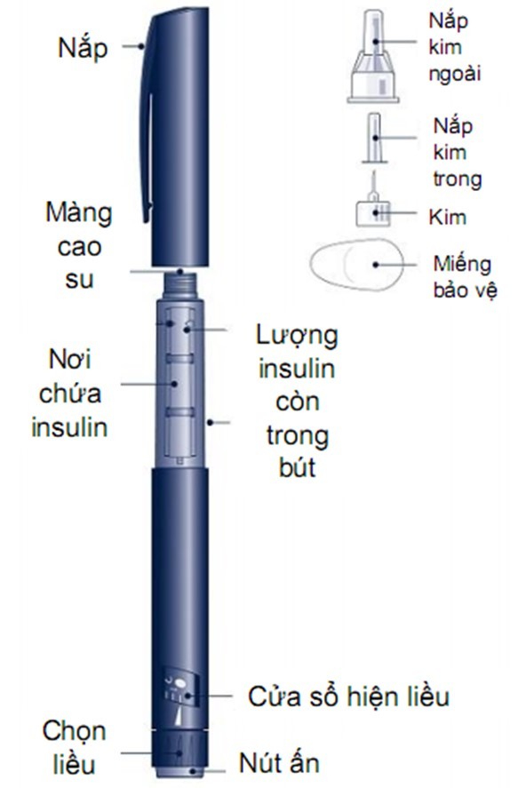 Cấu tạo bút tiêm insulin