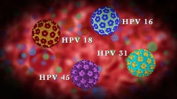 Bốn chủng HPV thường gây bệnh nhất trên con người