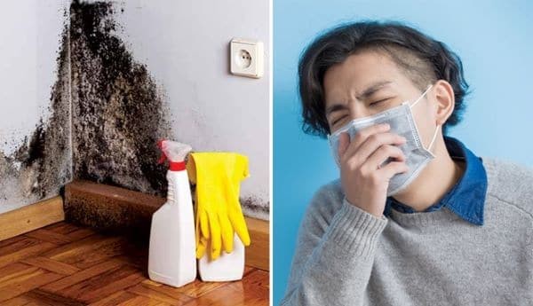 Nấm mốc xuất hiện trong nhà làm tăng nguy cơ mắc bệnh suyễn ở trẻ