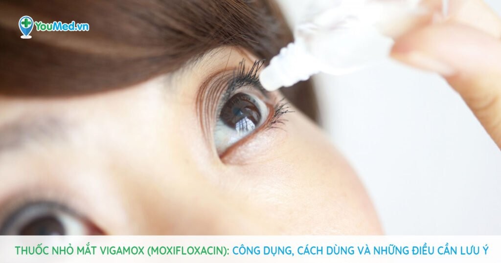 Thuốc nhỏ mắt Vigamox (moxifloxacin): Công dụng, cách dùng và lưu ý