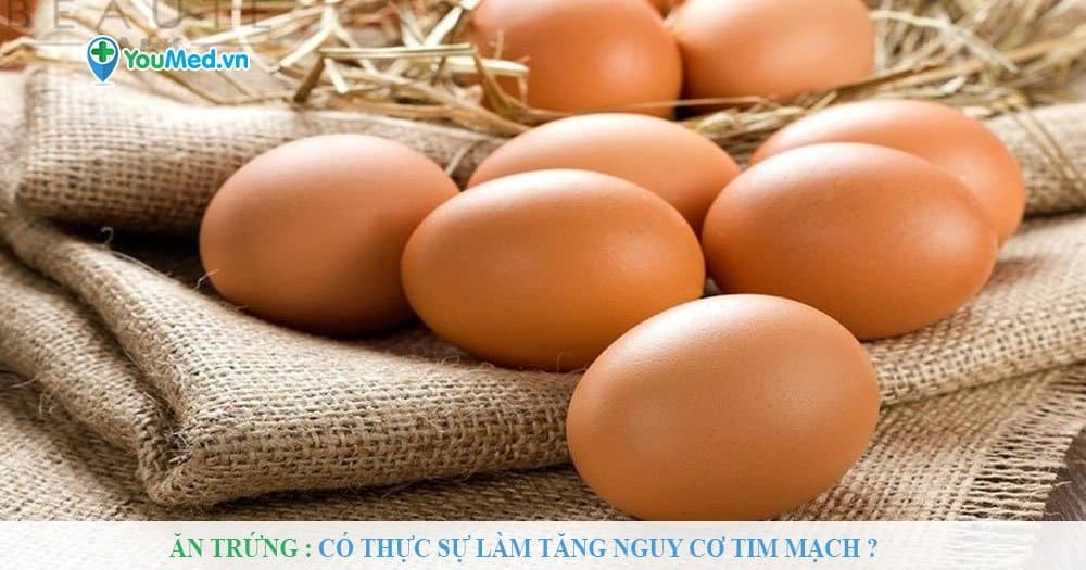 Ăn trứng: Có thực sự làm tăng nguy cơ tim mạch?