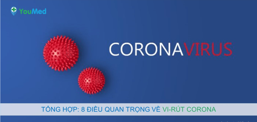 Virut Corona: Ác mộng của thế giới năm 2020