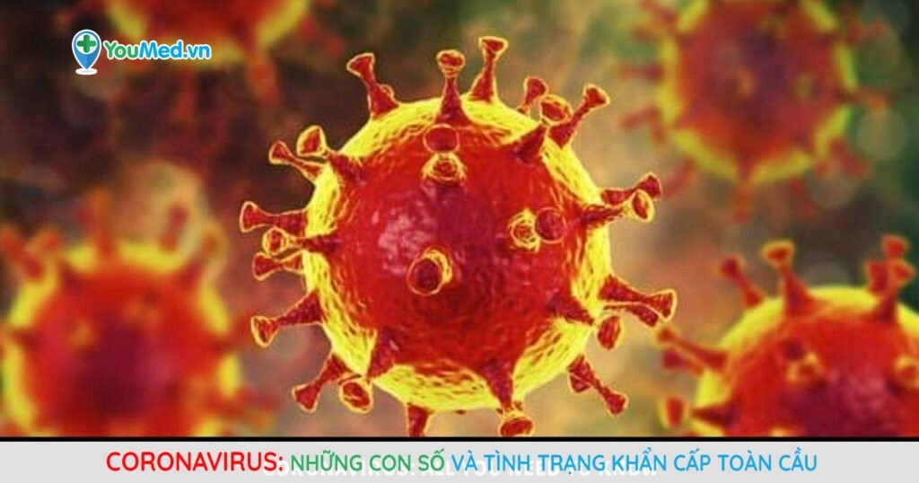Quá trình xâm nhập và truyền từ người sang người của Coronavirus mới tại Việt Nam