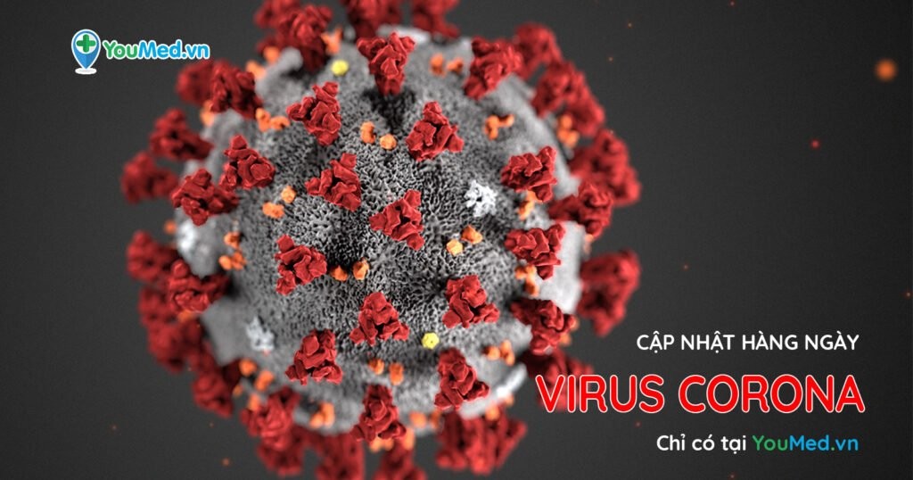 Infographic: Số liệu cập nhật về virus Corona