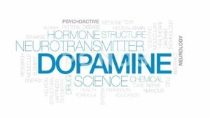 Cocain làm tăng thời gian tác động của Dopamine, từ đó gây nên came giác "phê".