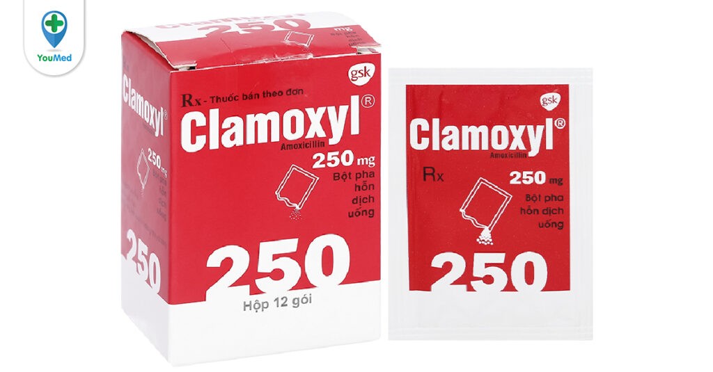 Kháng sinh Clamoxyl 250 mg là thuốc gì? Công dụng và lưu ý