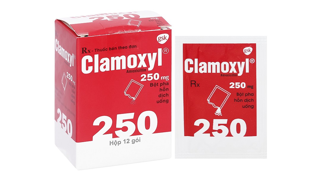 Biệt dược Clamoxyl có chứa amoxycillin - là một kháng sinh nhóm beta-lactam.