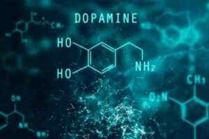 Giống như amphetamine, cathinone trong Khat cũng tác động lên thụ thể Dopamine.