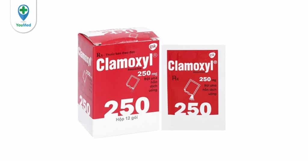 Những điều cần biết về thuốc kháng sinh Clamoxyl (amoxycillin)