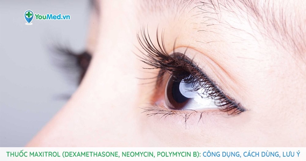 Thuốc điều trị bệnh viêm mắt Maxitrol (dexamethasone, neomycin, polymycin B)