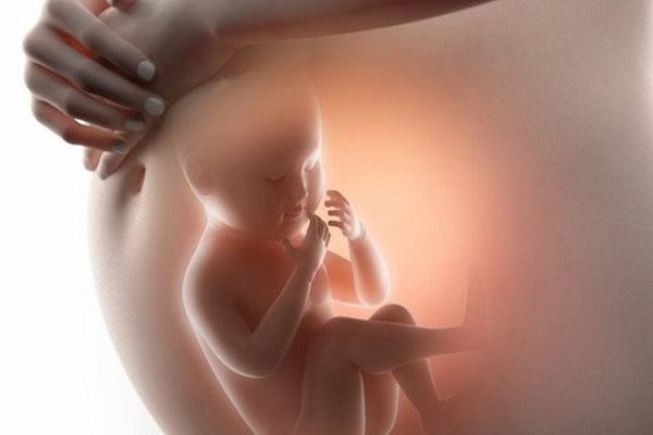 Bị cúm khi mang thai có thể gây dị tật thai nhi