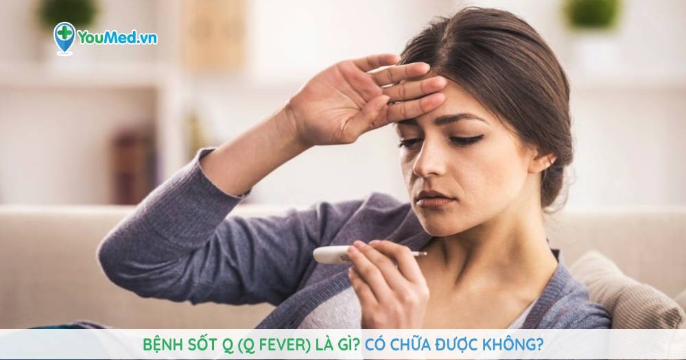 Bệnh sốt Q (Q Fever) là gì? Có chữa được không?