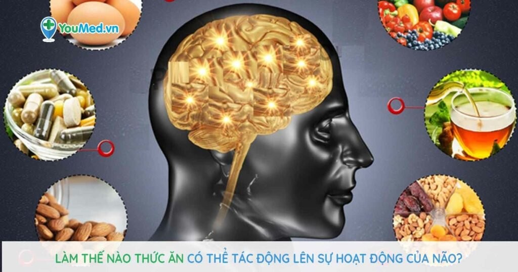 Làm thế nào thức ăn có thể tác động lên sự hoạt động của não?
