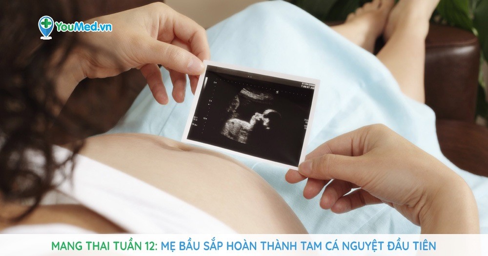 Mang thai tuần 12: Mẹ bầu sắp hoàn thành tam cá nguyệt đầu tiên