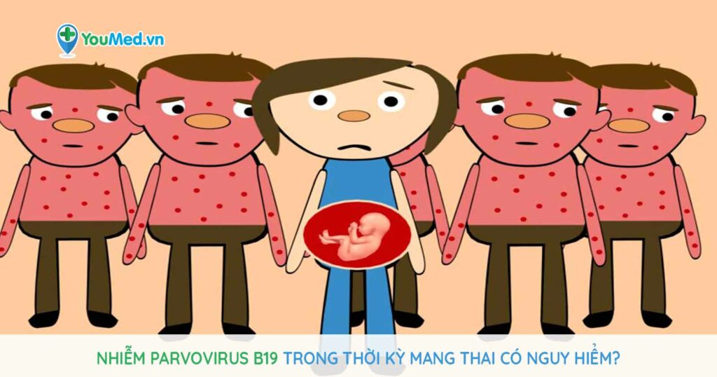 Nhiễm Parvovirus B19 trong thời kỳ mang thai có nguy hiểm?