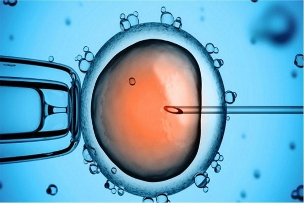 Phương pháp thụ tinh trong ống nghiệm - các phương pháp hỗ trợ sinh sản