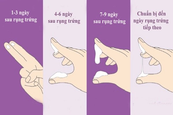 chất nhầy cổ tử cung