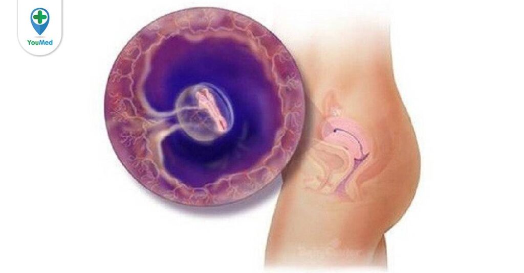Mang thai tuần 4: Mẹ cần biết gì?