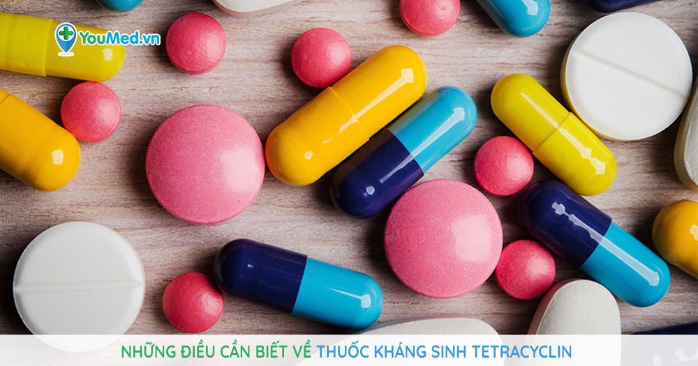 Những điều cần biết về thuốc kháng sinh Tetracyclin