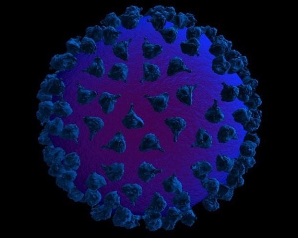 virus HPV dưới kính hiển vi điện tử