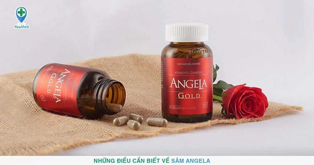 Sâm Angela: công dụng, cách dùng và lưu ý khi sử dụng