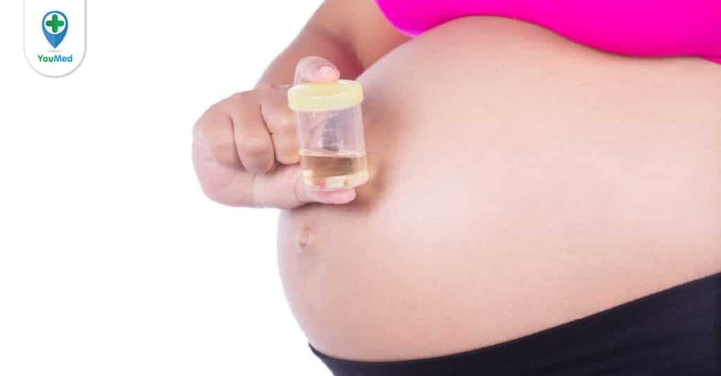 Xét nghiệm nước tiểu khi mang thai: vai trò, cách thực hiện, lưu ý