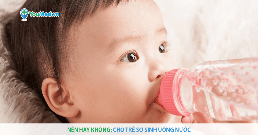 Cho trẻ sơ sinh uống nước: Nên hay không?