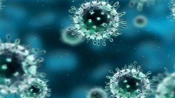 Hình ảnh virus Herpes simplex có khả năng gây ngứa dương vật