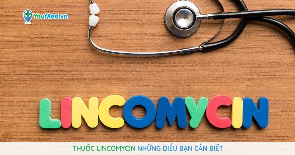 Thuốc Lincomycin: Những điều bạn cần biết