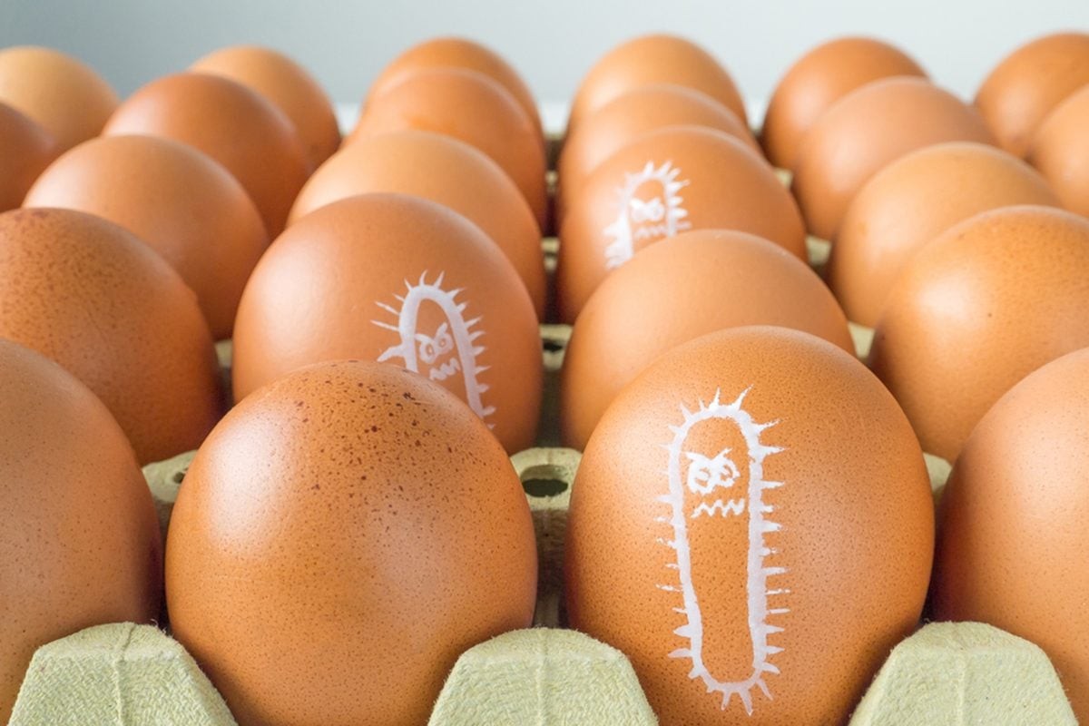 Trứng là loại thực phẩm có nguy cơ nhiễm Salmonella
