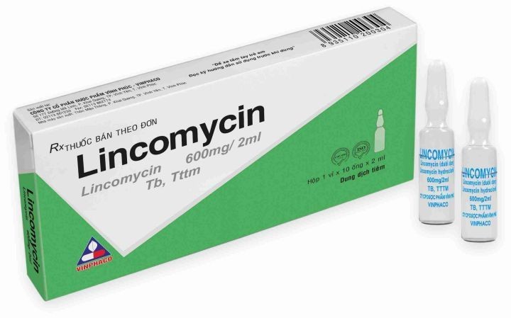 Thuốc Lincomycin: Những điều bạn cần biết - YouMed