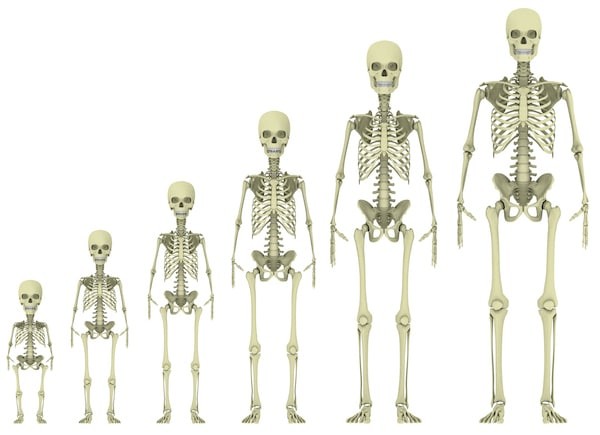 Thời điểm lớp sụn tăng trưởng chuyển hoàn toàn thành xương ở nữ sớm hơn nam