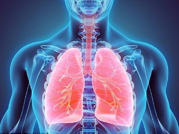 Phổi và đường hô hấp  Y Học Cộng Đồng