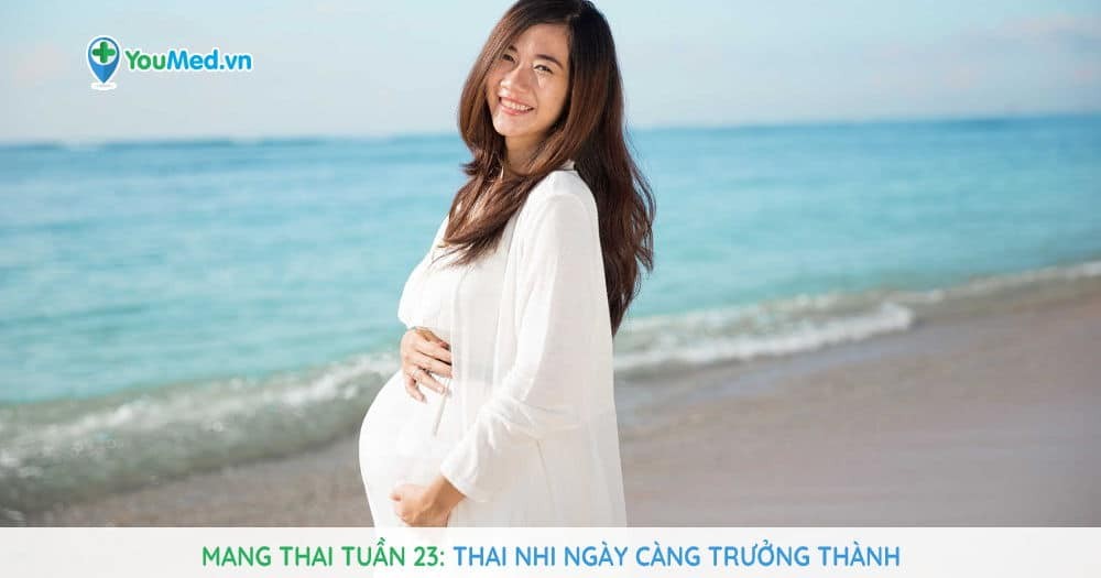 Mang thai tuần 23: Thai nhi ngày càng trưởng thành