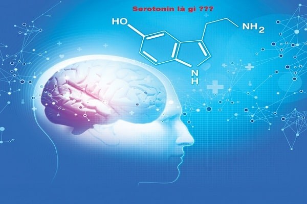 Chất Serotonin trong cơ thể con người