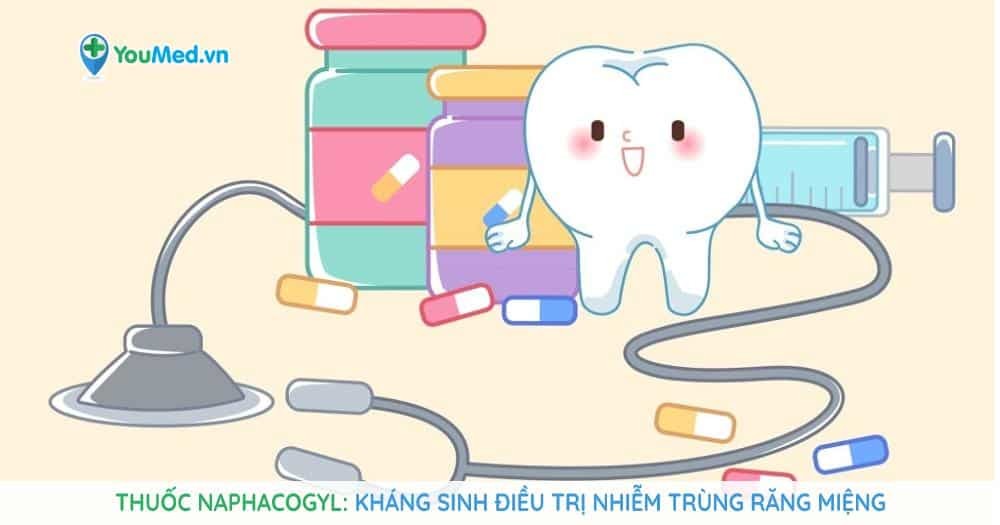 Thuốc Naphacogyl: Kháng sinh điều trị nhiễm trùng răng miệng