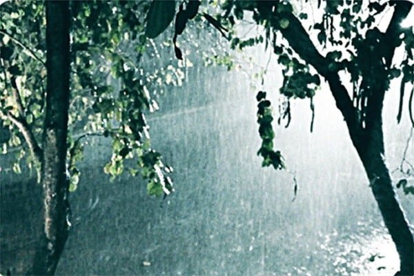 Tiếng mưa rơi có thể tạo nên ASMR
