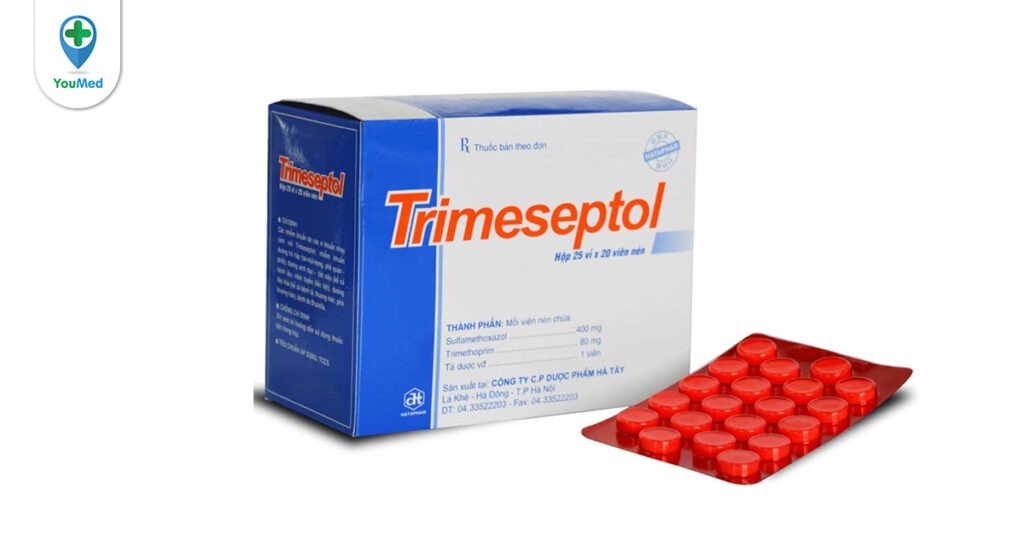 Những điều cần biết về thuốc Trimeseptol