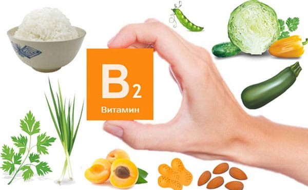Vitamin B2 và B3