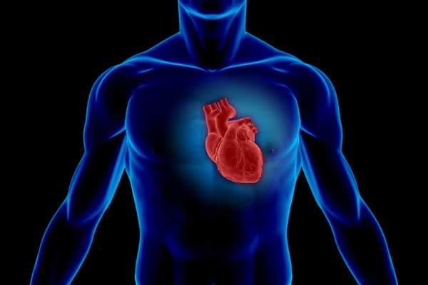 Chưa có nhiều bằng chứng cho thấy vitamin E làm giảm nguy cơ bệnh tim mạch vành