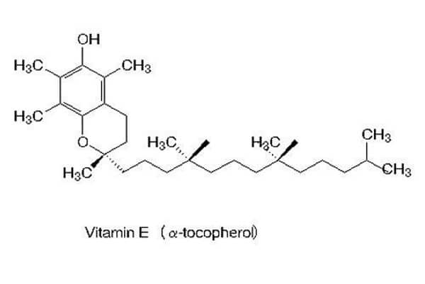Cấu trúc hóa học của vitamin E