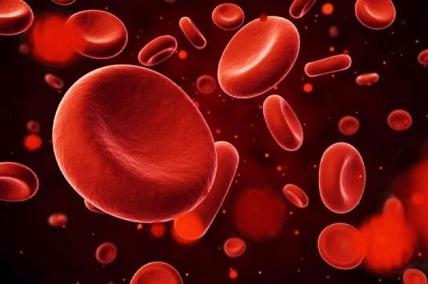 Hình ảnh tế bào hồng cầu do thiếu B12