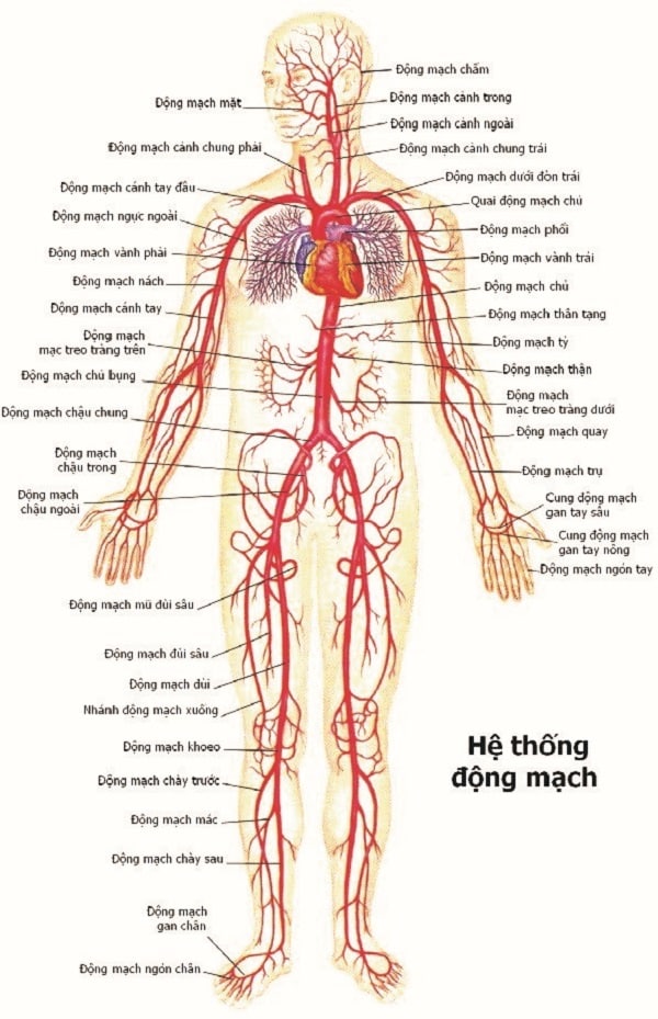 Khám phá vĩ đại trong lịch sử y học  baotintucvn