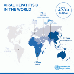 Việt Nam nằm trong khu vực nhiễm viêm gan B cao nhất thế giới