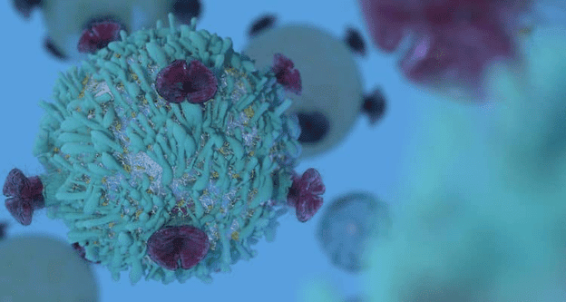 Tế bào lympho T bị kích hoạt quá mức