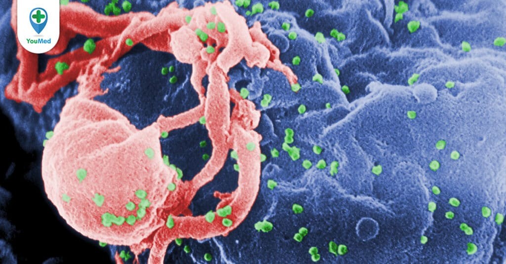 Các biểu hiện HIV/AIDS theo từng giai đoạn phát bệnh