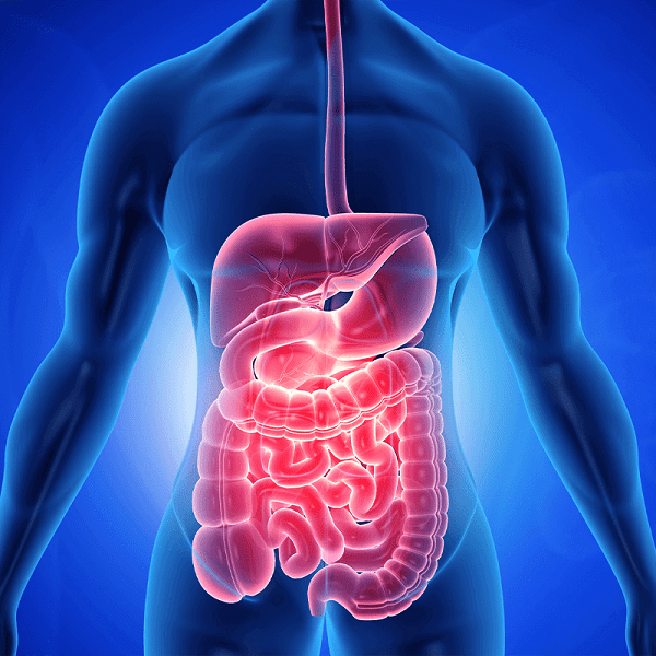 Một số bệnh lý như bệnh ở dạ dày ruột có thể ngăn cản hấp thu vitamin B3