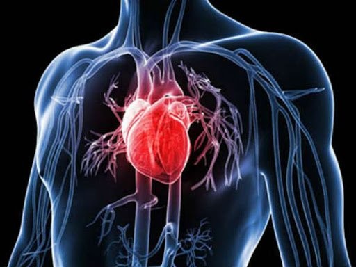 Ngưng tim có thể gây tử vong nếu không được điều trị đúng cách