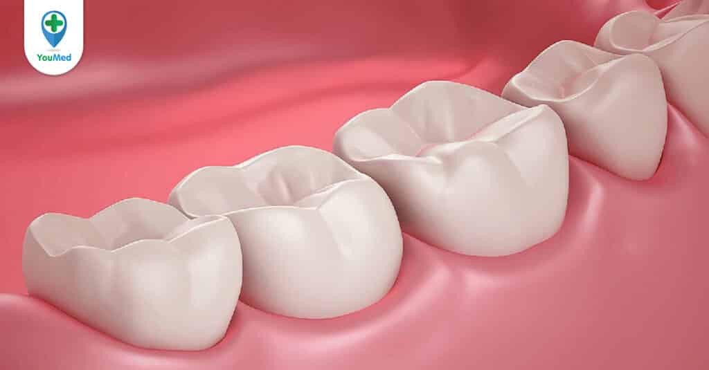 Răng cối nhỏ: Chiếc răng thay thế cho các răng cối sữa